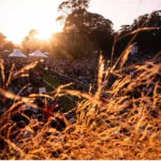 Hardly Strictly Bluegrass Announces First Group of 2024 Artists