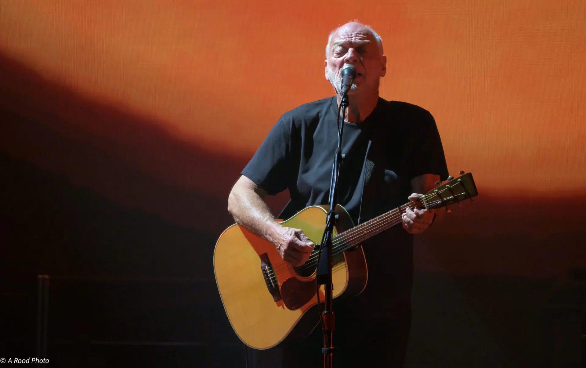 David Gilmour at Los Angeles’ Intuit Dome (A Gallery + Recap)