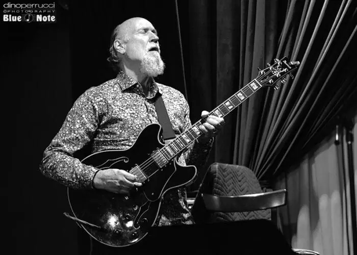 John Scofield愛用】Blue Note OD 楽器・機材