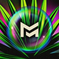 Mempho Music Festival Unveils Artist Lineup: Two Nights of Widespread Panic, Tyler Childers, The Flaming Lips, Father John Misty and More