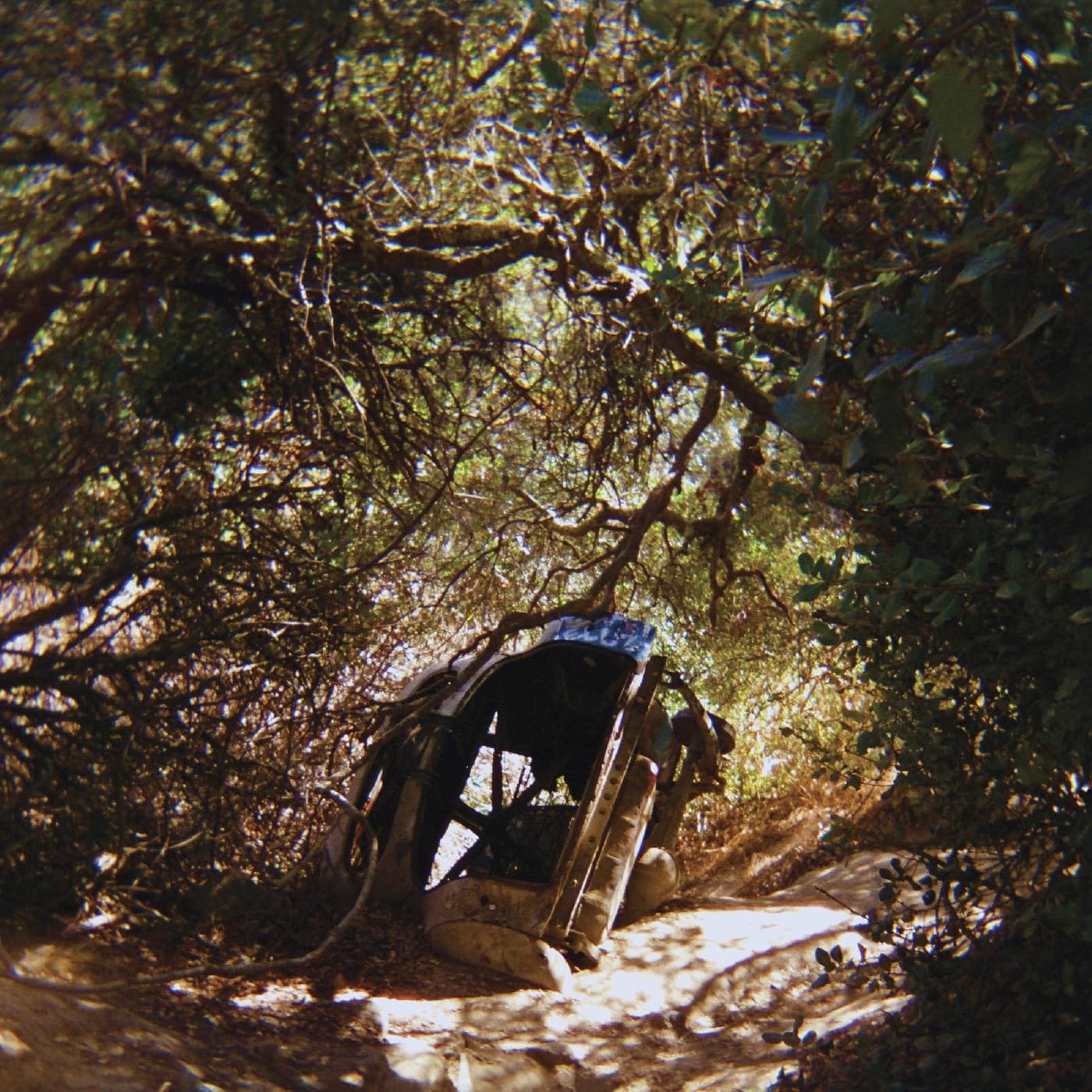 Ty Segall: Possession Ty Segall: Possession