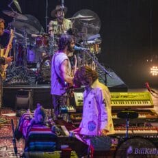 Goose at Madison Square Garden (Photo Gallery) Goose at Madison Square Garden (Photo Gallery)