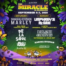 Stephen Marley to Join Damian “Jr. Gong” Marley on Miracle in Mundelein