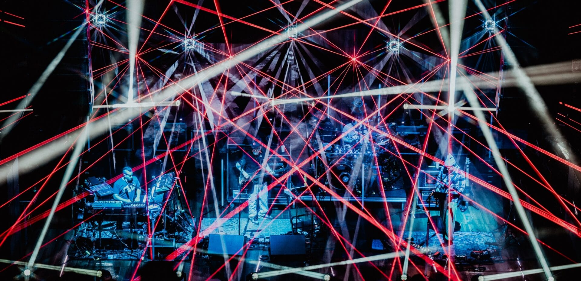 2024-11-15-discobiscuits-
