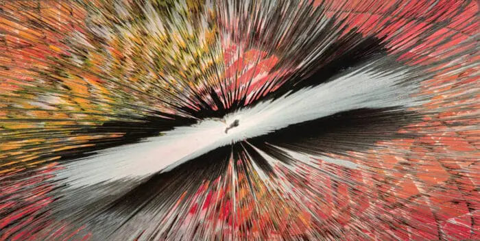 Mickey Hart Announces New 