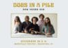 Dogs in a Pile Announce Two-Night New Year’s Eve Run at Bearsville Theater, Following Six-Concert November Residency at Garcia’s Chicago
