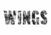 Wings to Release Self-Titled Anthology Series