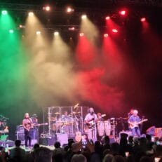 Ziggy Marley at Leader Bank Pavilion