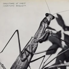 Courtney Barnett: Creature of Habit