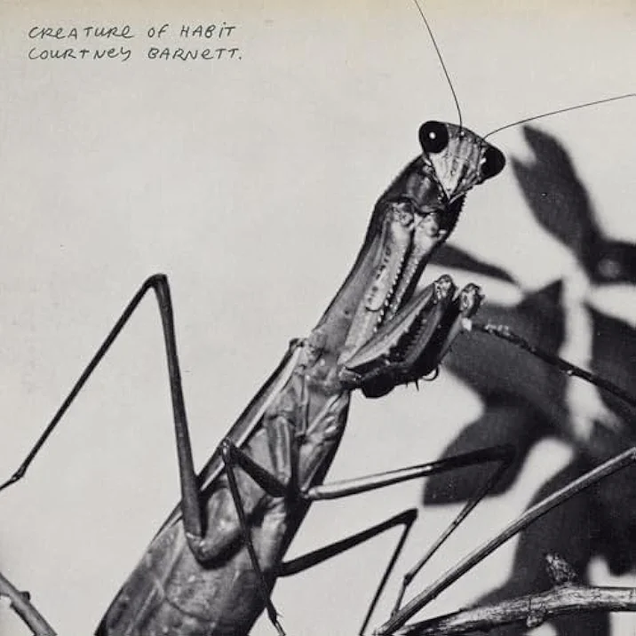 Courtney Barnett: Creature of Habit