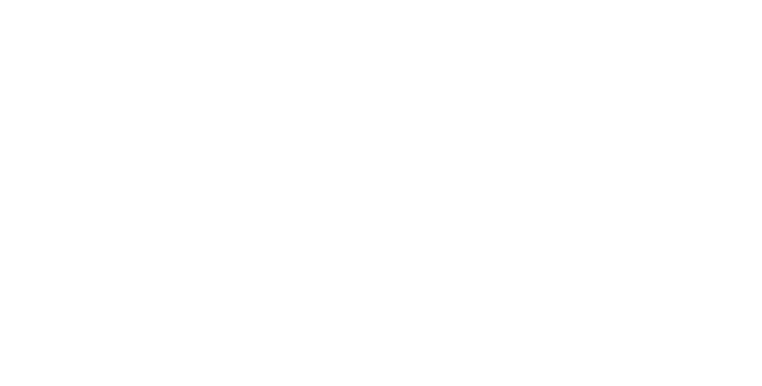 Logo: Bearsville Theater