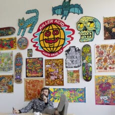 The Chronicles of Killer Acid