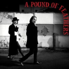 The Black Crowes: A Pound of Feathers
