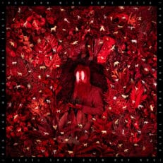Iron & Wine: Hen’s Teeth