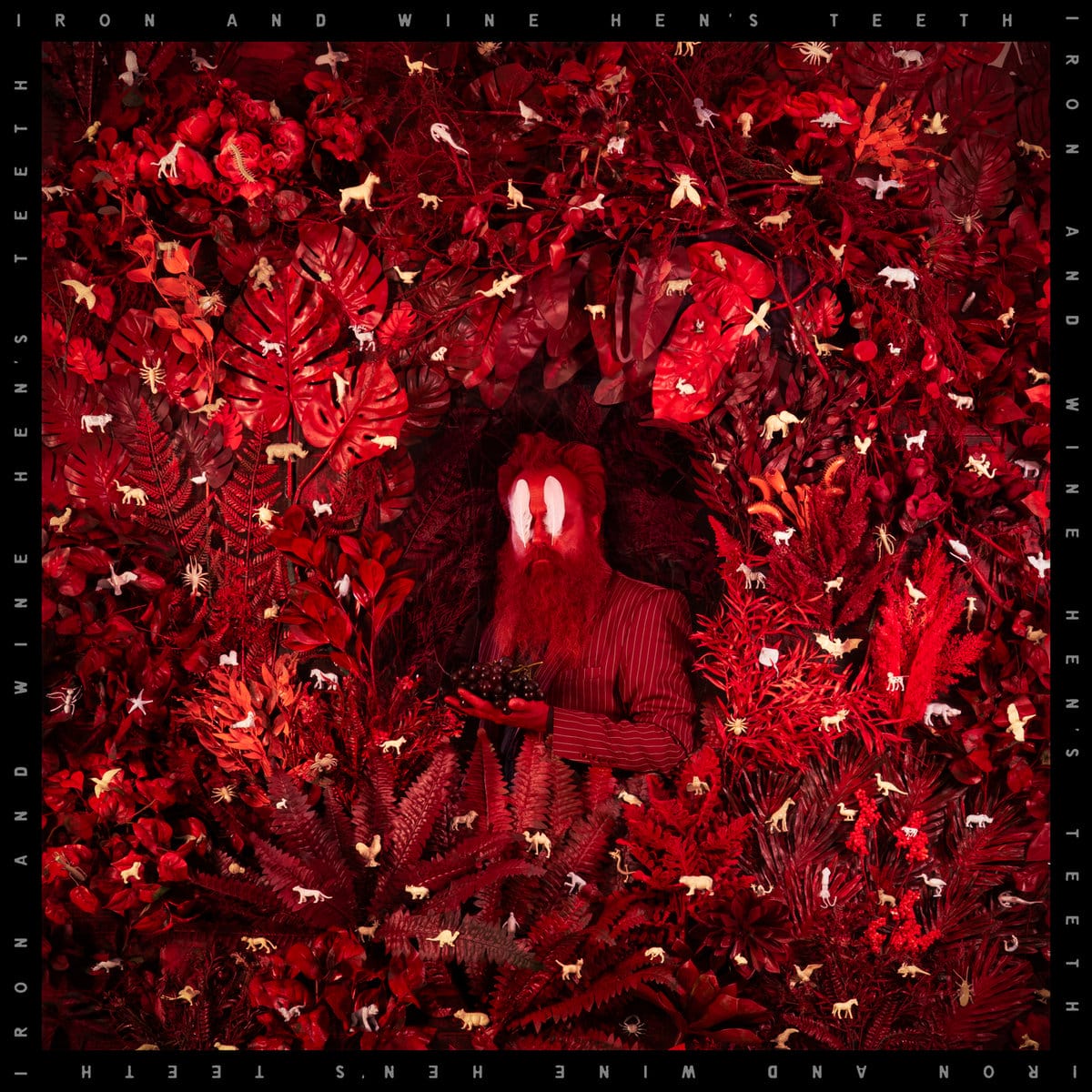 Iron & Wine: Hen’s Teeth
