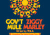 Gov’t Mule and Ziggy Marley Announce the Dreaming The Same Dream Tour