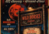 Elizabeth Cook and Aaron Lee Tasjan to Play Opening Night at Wild Horses