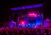 Fort Desolation Fest Shares 2026 Lineup: Drive-By Truckers, Andrew Bird, Grahame Lesh & Friends and More