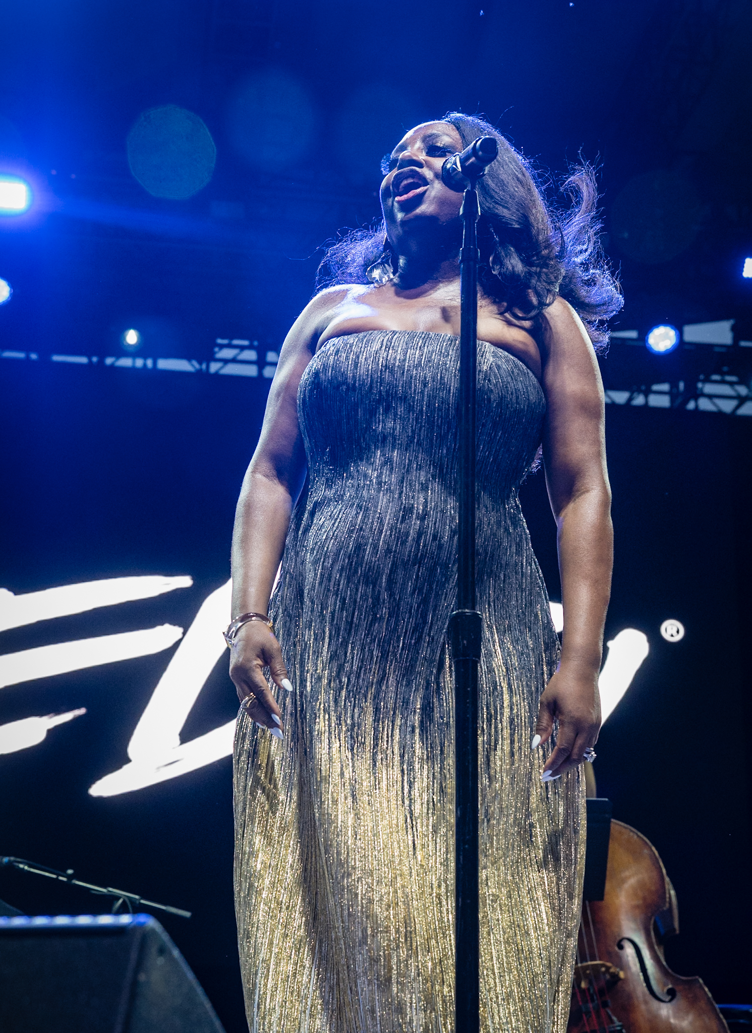 Ledisi’s ‘For Dinah’ Opens SummerStage’s 40th Anniversary Season (Gallery + Recap)